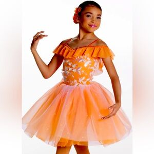 Orange Fairy Princess Costume